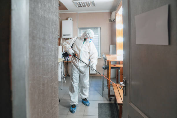 Best Mold Remediation for Healthcare Facilities  in Elk Plain, WA