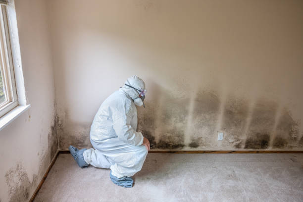 Best Commercial Mold Inspection  in Elk Plain, WA